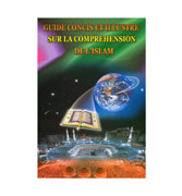 Guide Concis ET Illustre Sur la Comprehension Del'Isla