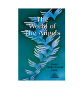 The World of Angels
