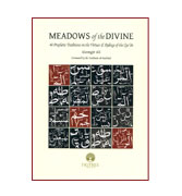 Meadows of the Divine : 40 prophetic traditions of the virtues & rulings of the Quran