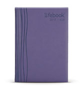 2015 Desk Lifebook - Blue Ribbon
