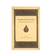 Wisdom for the Seeker : Volume 1 (Letters of Advice)