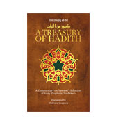 A Treasury of Hadith: A Commentary on Nawawi's Selection of Prophetic Traditions (Treasury in Islamic Thought and Civilization)