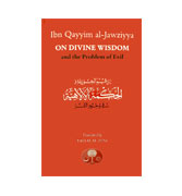  Divine Wisdom and the Problem of Evil